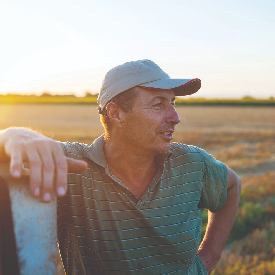 farmer, field, mennonite mutual insurance